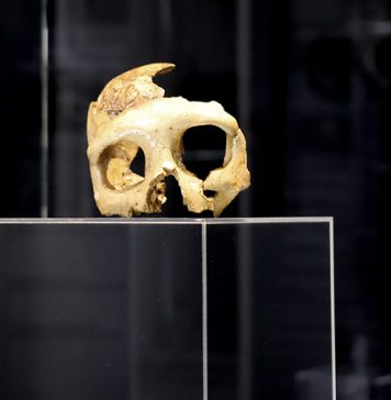 Trieste’s Winckelmann Museum Launches 2026 “Archaeology by Night” Series