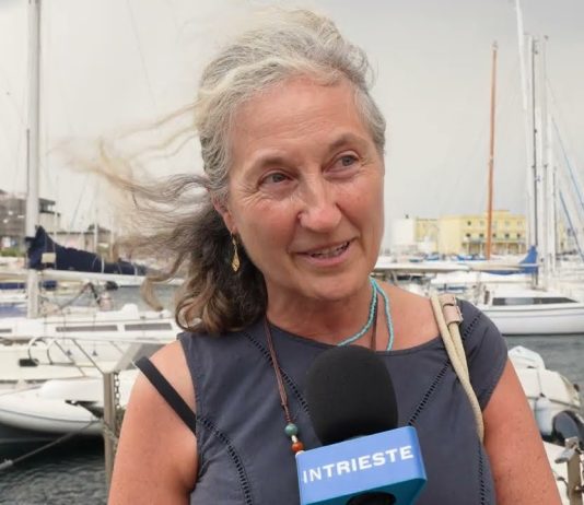 Heat Wave Pushes Gulf of Trieste Waters to Record Temperatures