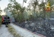 Firefighters Continue Monitoring After Wildfire Near Monfalcone