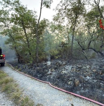Firefighters Continue Monitoring After Wildfire Near Monfalcone