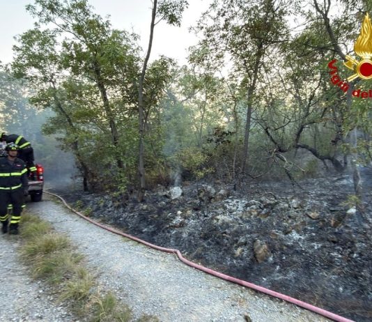Firefighters Continue Monitoring After Wildfire Near Monfalcone