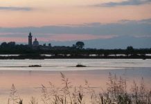 The Lost Landscapes Beneath the Adriatic Reveal Europe’s Prehistoric Coast