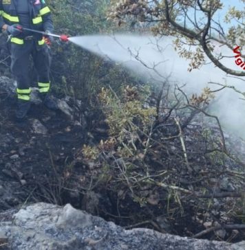 Wildfires Continue to Burn in Gorizia Area as Crews Work Through the Night