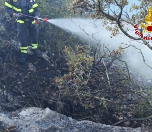 Wildfires Continue to Burn in Gorizia Area as Crews Work Through the Night