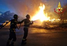 Firefighters Contain Vegetation Fire Near Trieste Cycling Path