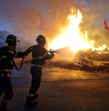 Firefighters Contain Vegetation Fire Near Trieste Cycling Path