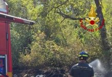 Vegetation Fires Reported Near Gorizia and Trieste