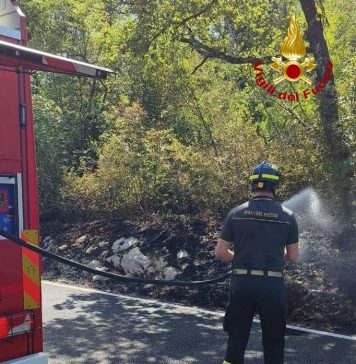 Vegetation Fires Reported Near Gorizia and Trieste