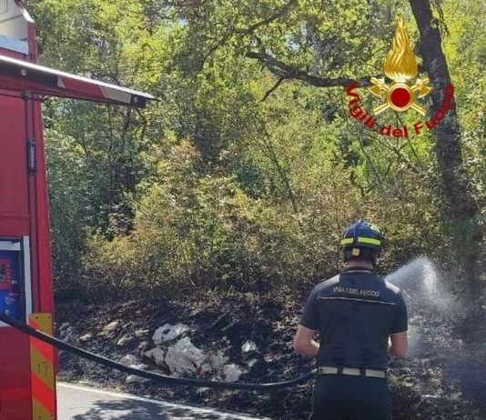 Vegetation Fires Reported Near Gorizia and Trieste