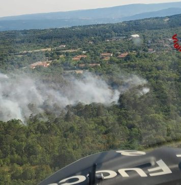 Firefighters Continue Overnight Battle Against Karst Wildfire Near Trieste