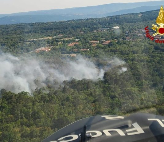 Firefighters Continue Overnight Battle Against Karst Wildfire Near Trieste