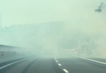 Wildfire Breaks Out Between Monfalcone and Duino, Sending Smoke Across the Area