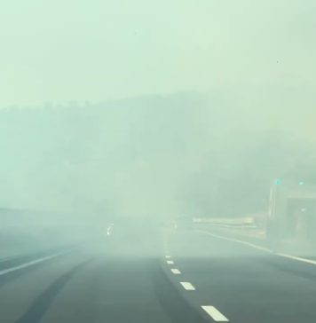 Wildfire Breaks Out Between Monfalcone and Duino, Sending Smoke Across the Area