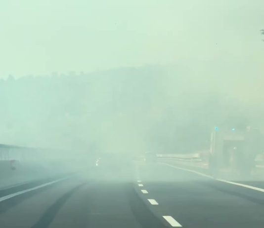Wildfire Breaks Out Between Monfalcone and Duino, Sending Smoke Across the Area