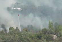 Wildfires Grip Carnia as Flames Near Homes and Evacuations Begin