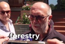Wildfire Near Trieste Contained, But Monitoring Continues Amid Heatwave