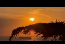 A Rare Eclipse Draws Eyes to the Sky Across the World