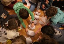Trieste Civic Museums Launch Educational Program for 2026–27 School Year
