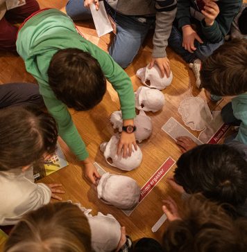 Trieste Civic Museums Launch Educational Program for 2026–27 School Year