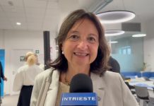 Trieste Next Explores the Future of Human and Artificial Intelligence
