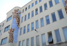 New Murals Bring Giraffes and a Child to Trieste Children’s Hospital
