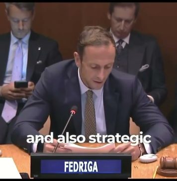 FVG Presents Its Research Network at the United Nations in New York