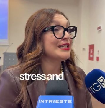 Friuli Venezia Giulia Allocates €280,000 to Anti-Bullying Centers