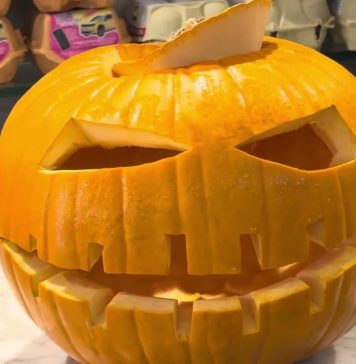 Pumpkin Sales Rise as Halloween Gains Popularity in Italy