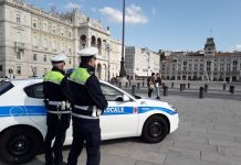Trieste Environmental Police Opened 232 Cases in First Nine Months of 2026