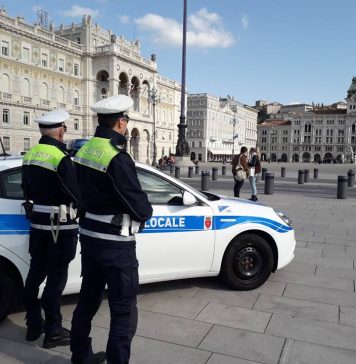 Trieste Environmental Police Opened 232 Cases in First Nine Months of 2026